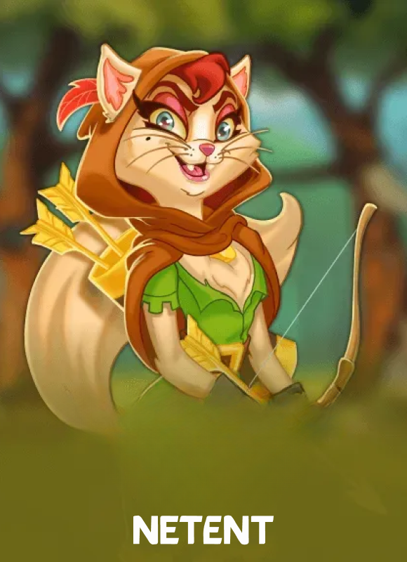 Ms Robin Hood - Game Thumbnail